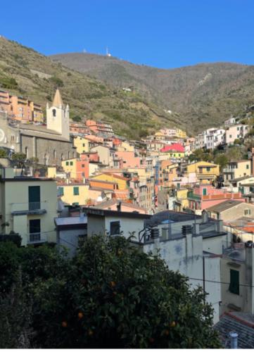 14F707E1-76BA-4864-8126-6C243C5A0AE0