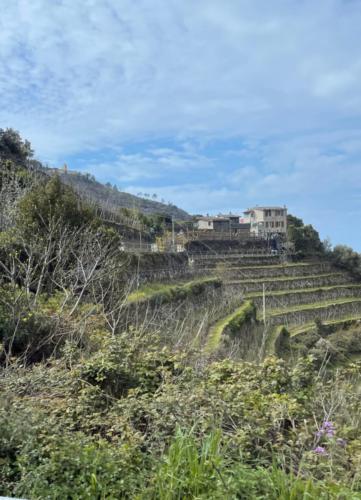 50429CC0-20ED-4E0B-8B4E-5F54C144FB4A