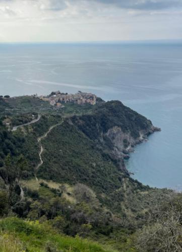 7D5222F6-348A-4F2A-9643-7DAE47972A7C