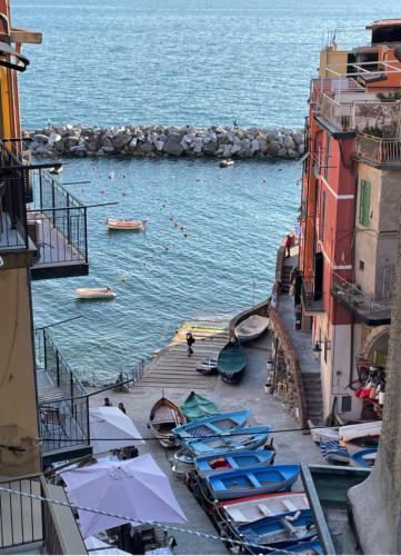 F74CCCF6-CA09-450B-A7DC-593D3B911628